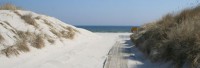 Sandhammaren