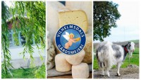 Vilhelmsdals gårdsmejeri